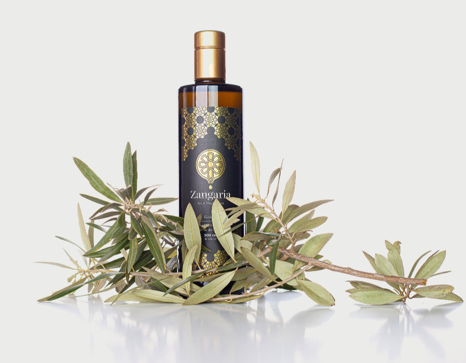 Quem Somos Momento Certo