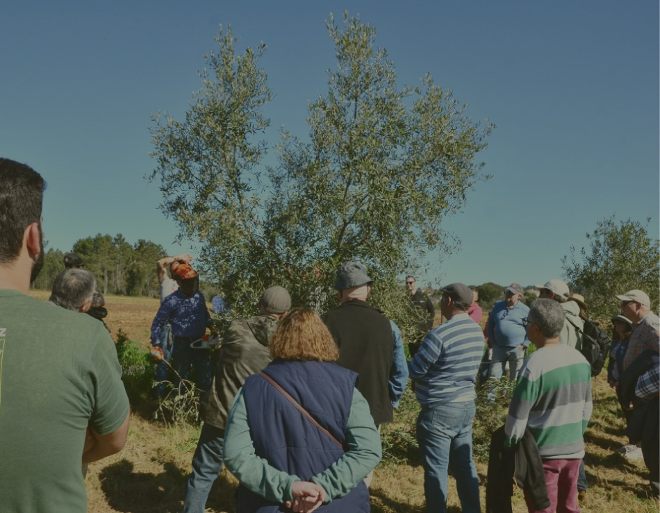 Quem Somos Comunidade